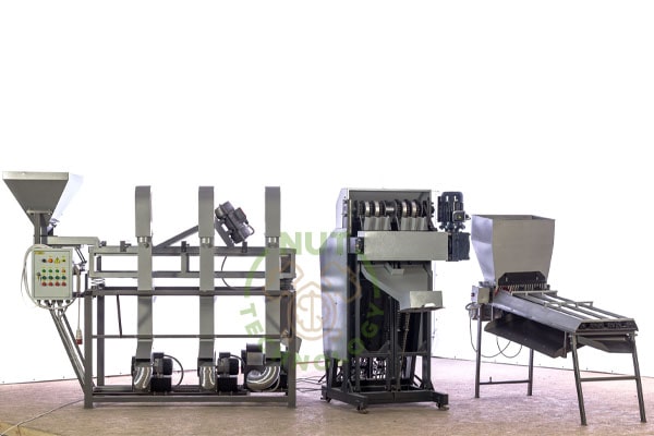 Blog - How to complete a walnut processing line?