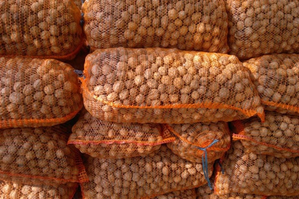 Blog - Storage conditions for peeled and unpeeled walnuts